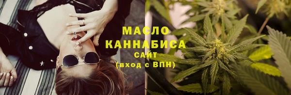 твердый Надым