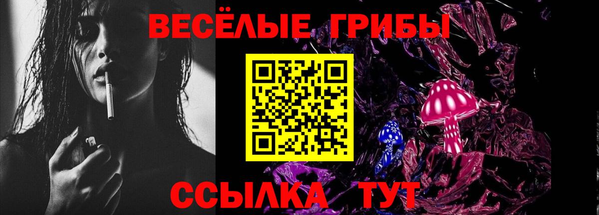 Галлюциногенные грибы Psilocybine cubensis  Вход с VPN  где купить   Кувандык  Псилоцибиновые грибы Cubensis 
